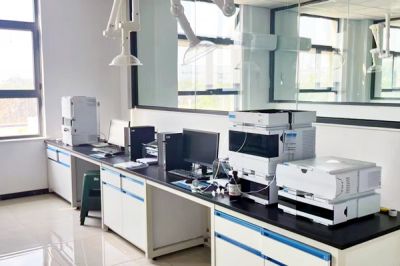 公司提供同步双向观测 ICP-OES 服务